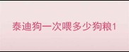泰迪狗一次喂多少狗粮