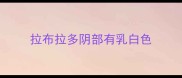 拉布拉多阴部有乳白色