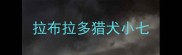 拉布拉多猎犬小七
