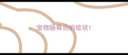 宠物肠胃炎的症状