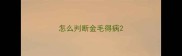 怎么判断金毛得病