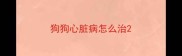 狗狗心脏病怎么治