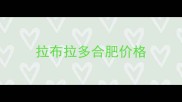 拉布拉多合肥价格