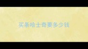 买条哈士奇要多少钱