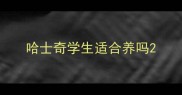 哈士奇学生适合养吗