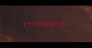 2个月狗注意什么
