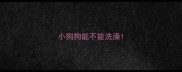 小狗狗能不能洗澡