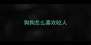 狗狗怎么喜欢咬人