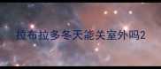 拉布拉多冬天能关室外吗