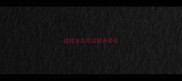 边牧多久可以放开牵引