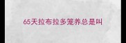 65天拉布拉多笼养总是叫