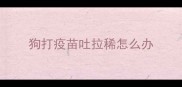 狗打疫苗吐拉稀怎么办