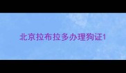 北京拉布拉多办理狗证