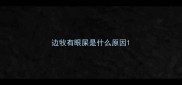 边牧有眼屎是什么原因