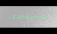 小狗英文名字大全男