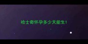 哈士奇怀孕多少天能生