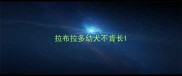 拉布拉多幼犬不肯长