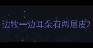 边牧一边耳朵有两层皮