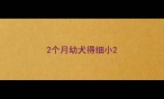 2个月幼犬得细小