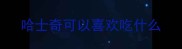 哈士奇可以喜欢吃什么