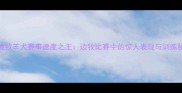 边境牧羊犬赛事速度之王边牧比赛中的惊人表现与训练秘诀