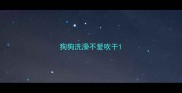 狗狗洗澡不爱吹干