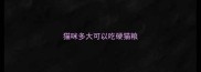 猫咪多大可以吃硬猫粮