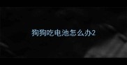 狗狗吃电池怎么办