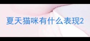 夏天猫咪有什么表现