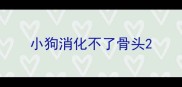 小狗消化不了骨头
