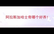 阿拉斯加哈士奇哪个好养