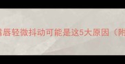 警惕猫咪嘴唇轻微抖动可能是这5大原因附自救指南