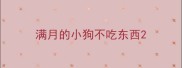 满月的小狗不吃东西
