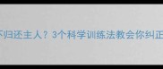 边牧咬到球不归还主人3个科学训练法教会你纠正狗狗分享欲