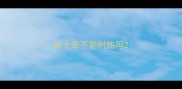 哈士奇不能耐热吗