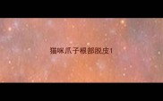 猫咪爪子根部脱皮