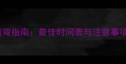 泰迪幼犬科学遛弯指南最佳时间表与注意事项新手必看