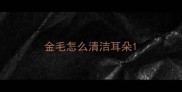 金毛怎么清洁耳朵