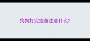 狗狗打完疫苗注意什么
