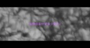 宠物疫苗针管多少毫升