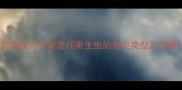 狗狗腹泻便便发现寄生虫的常见类型及危害