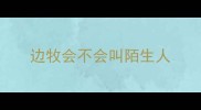 边牧会不会叫陌生人