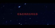 毛色发亮的拉布拉多