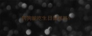 狗狗能吃生日蛋糕吗