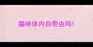 猫咪体内自带虫吗
