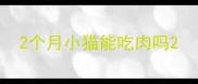 2个月小猫能吃肉吗
