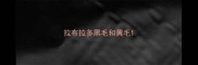 拉布拉多黑毛和黄毛
