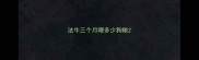 法牛三个月喂多少狗粮