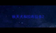 秋天犬和拉布拉多