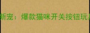 智能互动新宠爆款猫咪开关按钮玩具全攻略